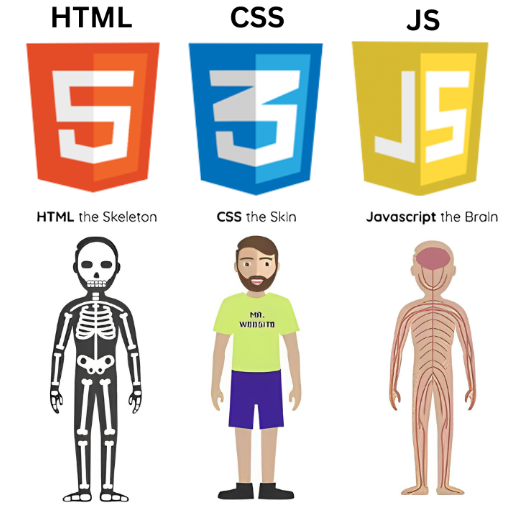 html css js web designer